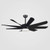 Truly Green Solutions Max Series Modern 8-Blade, Interior Ceiling Fans