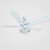 Truly Green Solutions Daisy Series Traditional 5-Blade, Interior Ceiling Fans