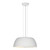 Eglo Lighting 90366A RYAN pendant light