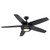 Eglo Lighting 203235A PETANI ceiling fan & light