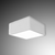 Rayon Lighting T751LED LED Industrial Canopy Light Ceiling/Canopy