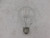 Sylvania S81962 Miniature and Specialty Bulbs