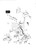 Toothed Washer(V2) - Volvo Penta (955948)