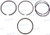 PISTON RING ASSY (PAF25-05020102)