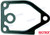 WATER PUMP GASKET (REC129150-35111)