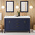 Theodora 60" Double Bathroom Vanity Set | VKITTHE60BLRER | Jeffrey Alexander