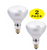 Cyber Tech Lighting IB250R40CLHL/2PK Clear R40 Infrared Heat Lamp - 2 Pack | Cyber Tech Lighting at lightingandsupplies.com