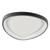 16.5in FREE-FORM CEILING LIGHT | FMHT-16-MCT5-BK | Westgate | Westgate at lightingandsupplies.com