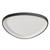 20.5in FREE-FORM CEILING LIGHT | FMHT-20-MCT5-BK | Westgate