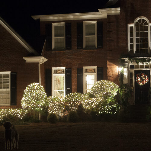 White net lights covering shrubs in front of a house