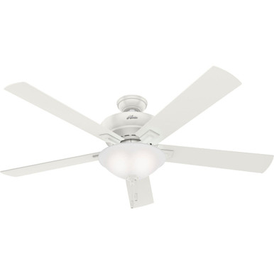 Hunter Fans 51187 inch Regalia II with LED light