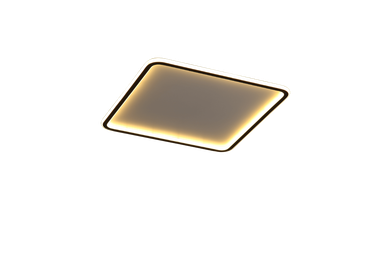 ASL Lighting C2115 Ceiling Fixtures Standard Lens SILICON LENS
