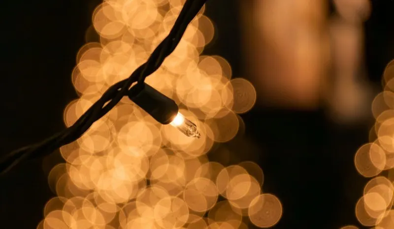C7 LED Christmas light set on green wire