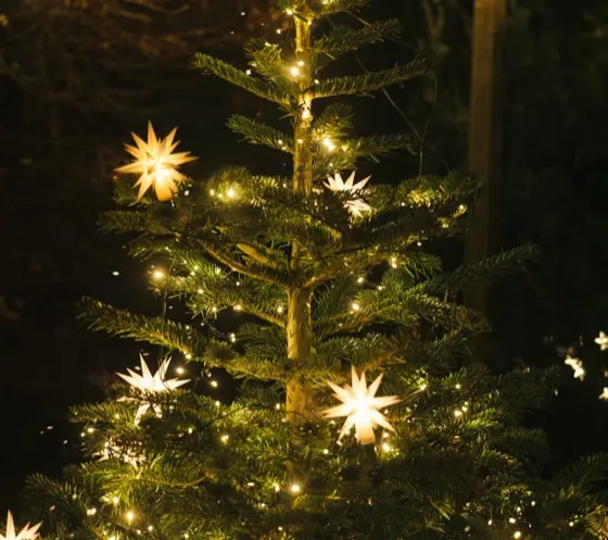 Decorated Christmas tree with star lights