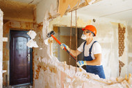 Our Top Picks for Home Renovation Vacs