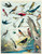 Cavallini and Co Puzzle /Birds 1000 pc Vintage Puzzle