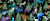 In The Beginnings - 2026 Oregon Shop Hop Collection - Animal Toss Large