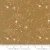 Moda Fabric - Silent Night North Star - Sold by the Half Yard