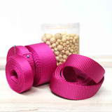 raspberry nylon webbing