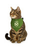 National Park Junior Pet Ranger Scouts Bandana Collar