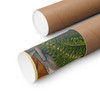 18 x 24 inch Maui Upcountry Hawaii matte poster featuring MOMENT No. 004 Jackson's chameleon artwork.
