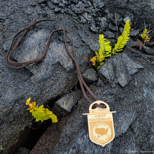 National Park Junior Ranger Badge