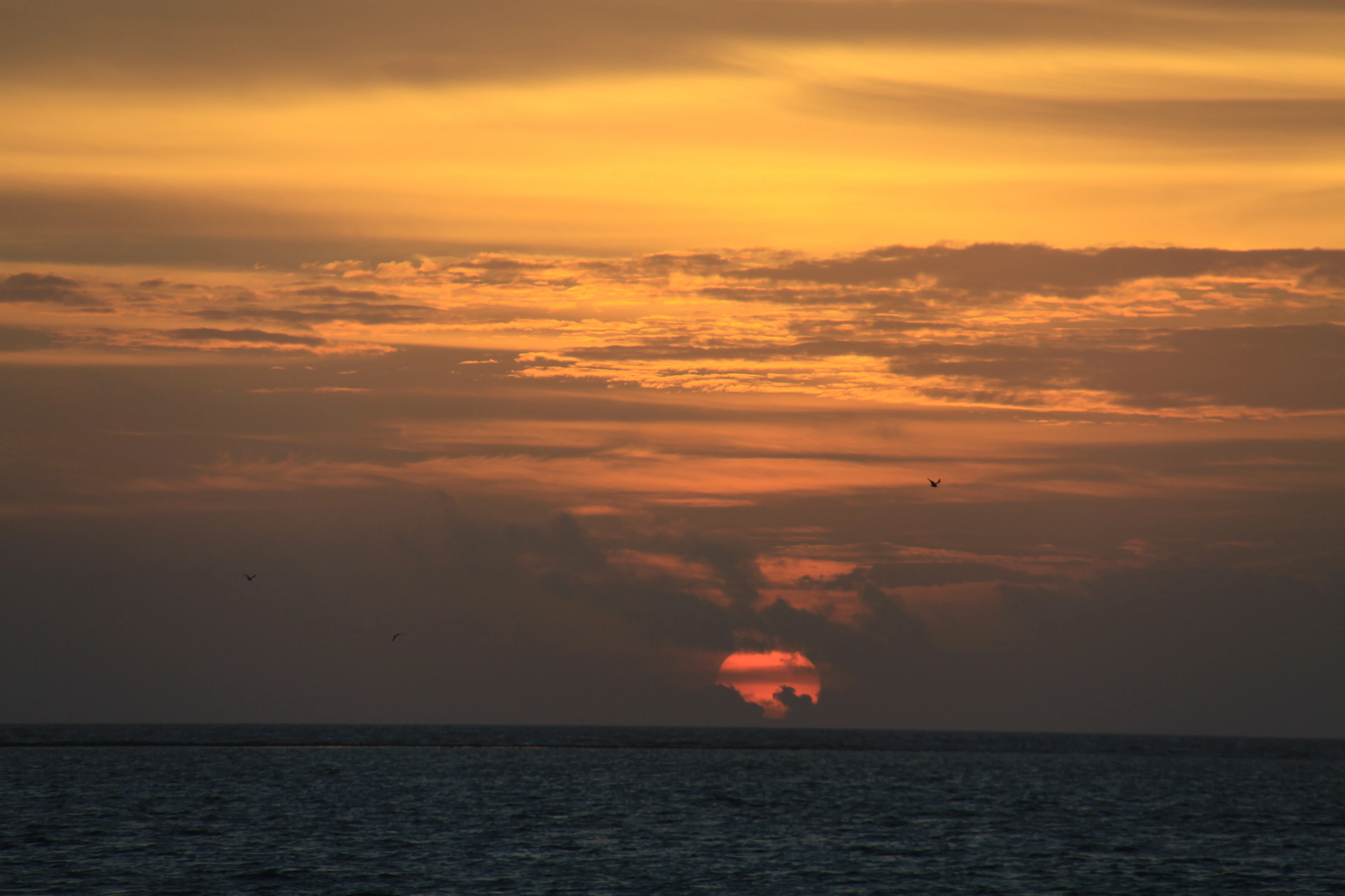 Sunset at Dry Tortugas As the sun went down over Dry Tortugas, warm light spread across the island and surrounding water — a quiet ending to an unforgettable day.