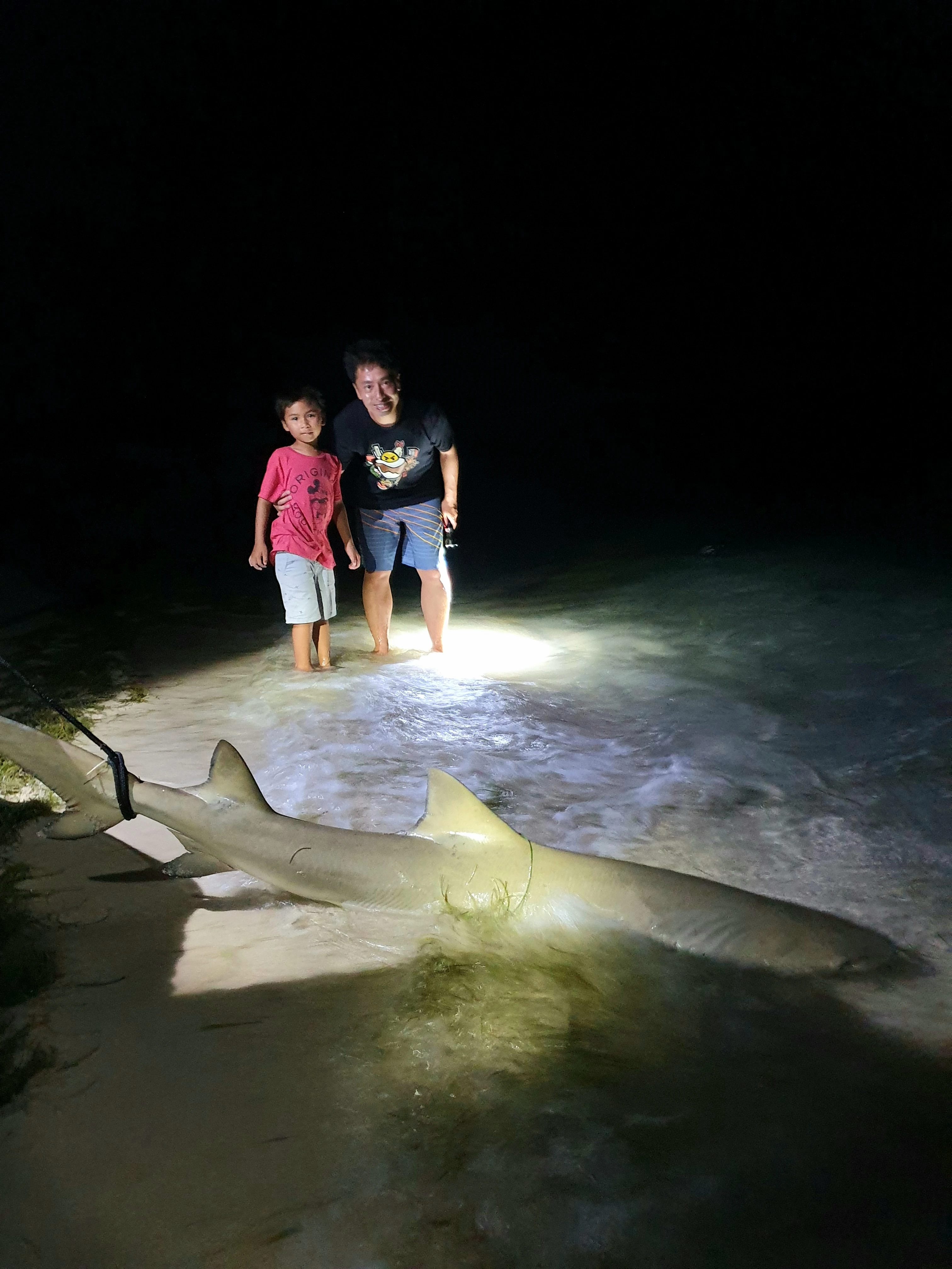 The Real Moment – Shark Encounter at Dry Tortugas The unforgettable shark encounter near the shoreline that became the heart of MOMENT No. 003.