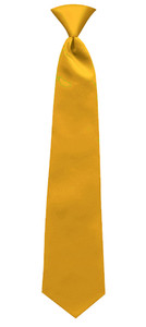 Windsor Ties Gold Windsor Ties Gold