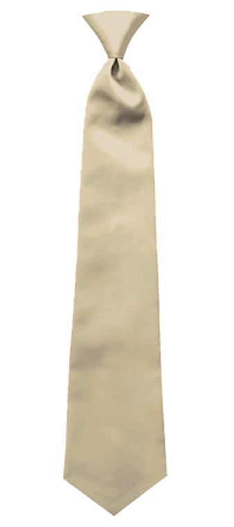Windsor Ties Champagne