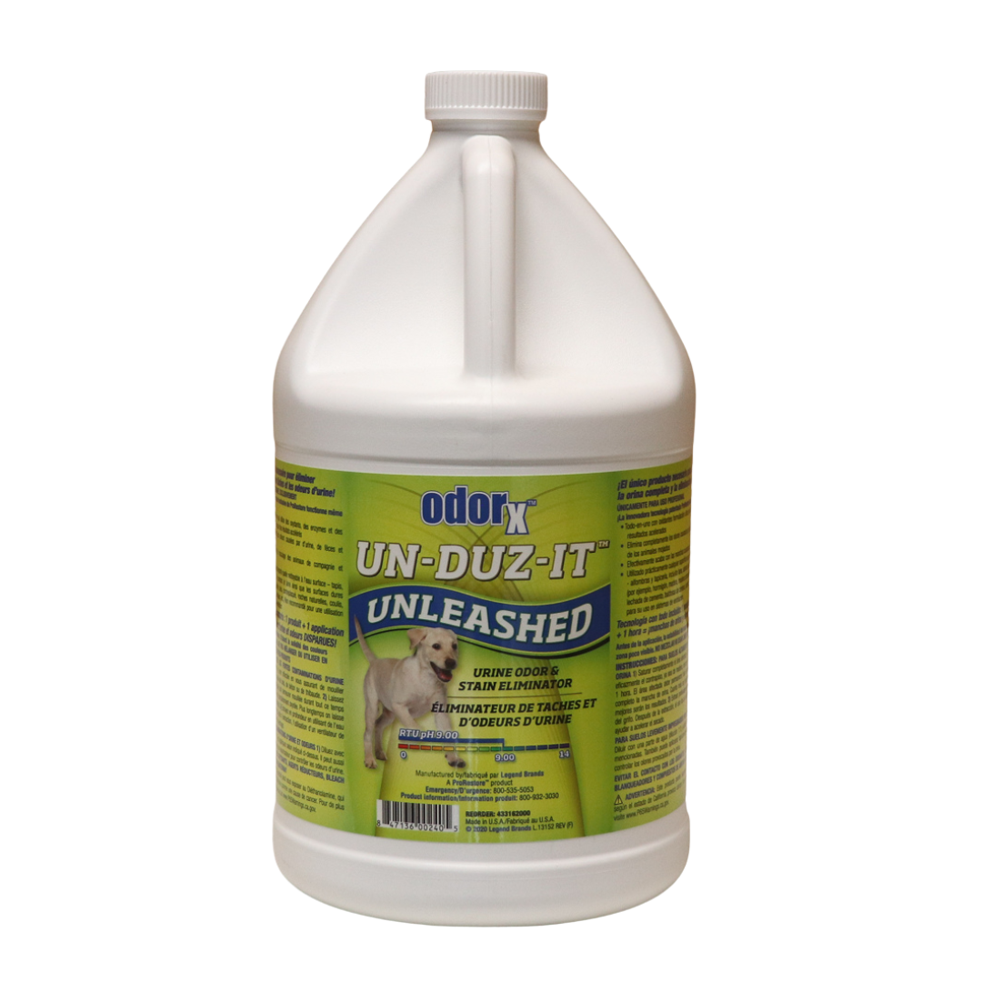 Carpet Cleaning