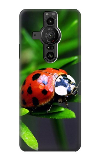 W0263 Ladybug Case Cover Custodia e Flip Case per Sony Xperia Pro-I