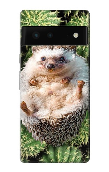 W3863 Pygmy Hedgehog Dwarf Hedgehog Paint Case Cover Custodia e Flip Case per Google Pixel 6