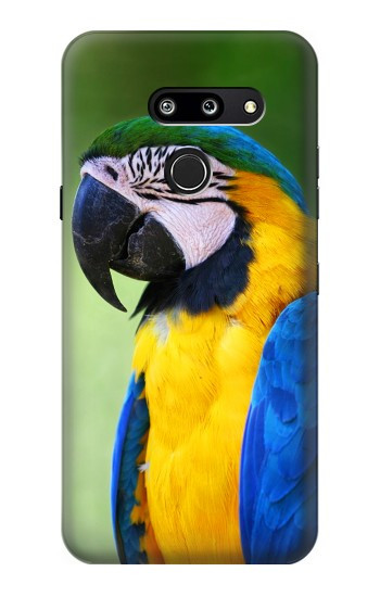 W3888 Macaw Face Bird Case Cover Custodia e Flip Case per LG G8 ThinQ