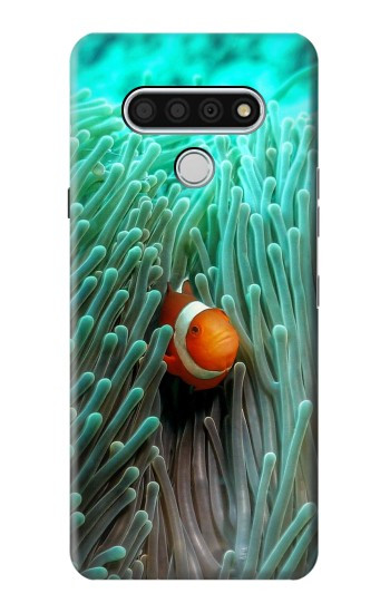 W3893 Ocellaris clownfish Case Cover Custodia e Flip Case per LG Stylo 6