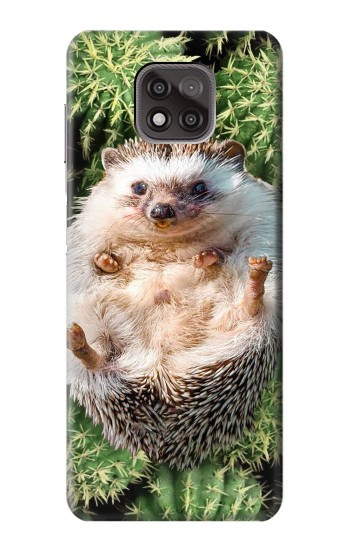 W3863 Pygmy Hedgehog Dwarf Hedgehog Paint Case Cover Custodia e Flip Case per Motorola Moto G Power (2021)