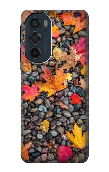 W3889 Maple Leaf Case Cover Custodia e Flip Case per Motorola Edge 30 Pro
