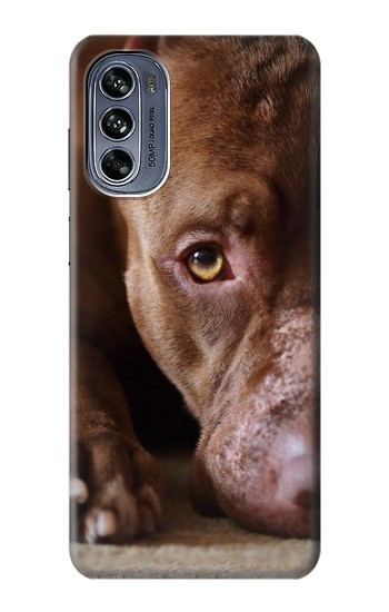 W0519 PitBull Face Case Cover Custodia e Flip Case per Motorola Moto G62 5G