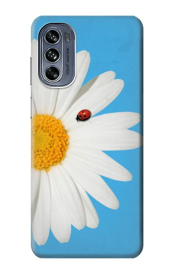 W3043 Vintage Daisy Lady Bug Case Cover Custodia e Flip Case per Motorola Moto G62 5G