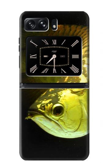 W1021 Gold Arowana Fish Case Cover Custodia e Flip Case per Motorola Moto Razr 2022 W1021 Gold Arowana Fish Case Cover Custodia e Flip Case per Motorola Moto Razr 2022