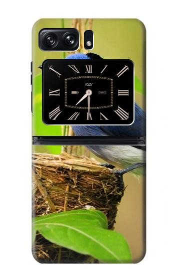 W3839 Bluebird of Happiness Blue Bird Case Cover Custodia e Flip Case per Motorola Moto Razr 2022