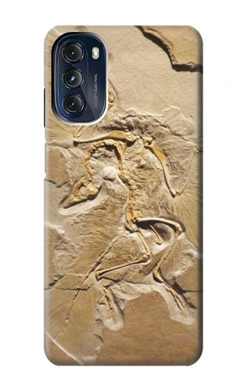 W0380 Dinosaur Fossil Case Cover Custodia e Flip Case per Motorola Moto G 5G (2023) W0380 Dinosaur Fossil Case Cover Custodia e Flip Case per Motorola Moto G 5G (2023)