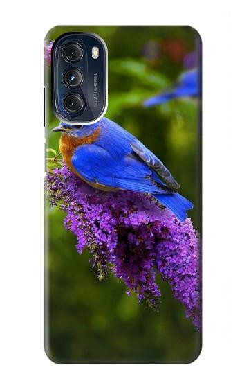 W1565 Bluebird of Happiness Blue Bird Case Cover Custodia e Flip Case per Motorola Moto G 5G (2023)