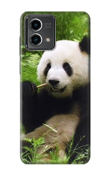 W1073 Panda Enjoy Eating Case Cover Custodia e Flip Case per Motorola Moto G Stylus 5G (2023)
