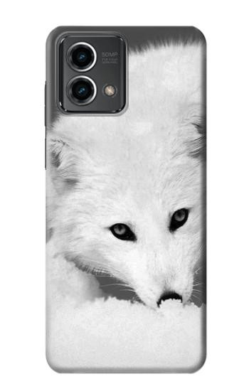 W2569 White Arctic Fox Case Cover Custodia e Flip Case per Motorola Moto G Stylus 5G (2023) W2569 White Arctic Fox Case Cover Custodia e Flip Case per Motorola Moto G Stylus 5G (2023)