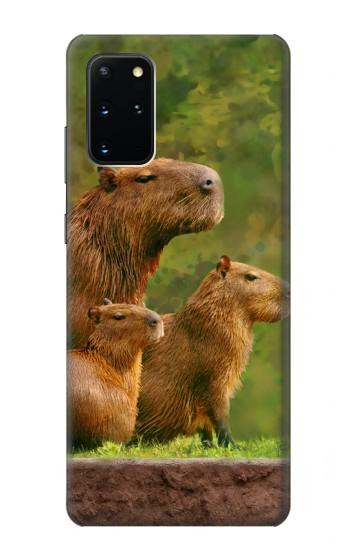 W3917 Capybara Family Giant Guinea Pig Case Cover Custodia e Flip Case per Samsung Galaxy S20 Plus, Galaxy S20+