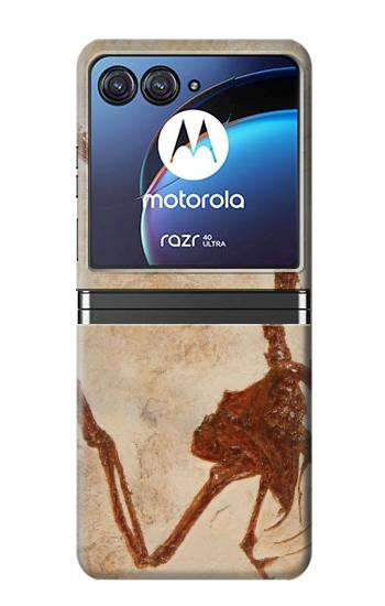 W0379 Dinosaur Fossil Case Cover Custodia e Flip Case per Motorola Razr 40 Ultra