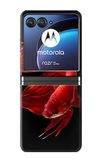 W2092 Red Siamese Fighting Fish Case Cover Custodia e Flip Case per Motorola Razr 40 Ultra
