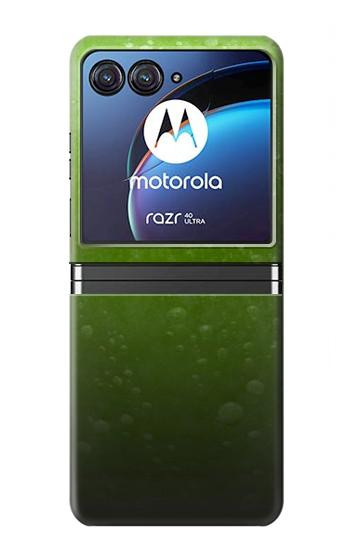 W2475 Green Apple Texture Seamless Case Cover Custodia e Flip Case per Motorola Razr 40 Ultra