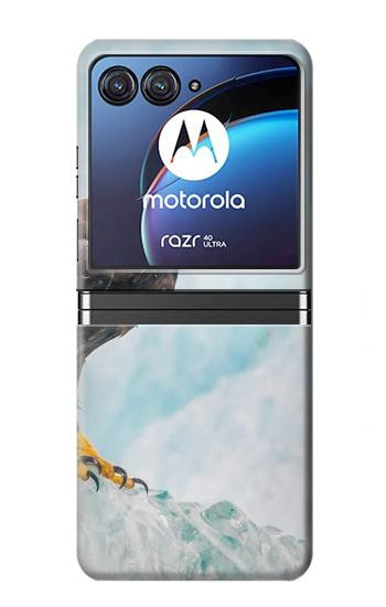 W3843 Bald Eagle On Ice Case Cover Custodia e Flip Case per Motorola Razr 40 Ultra